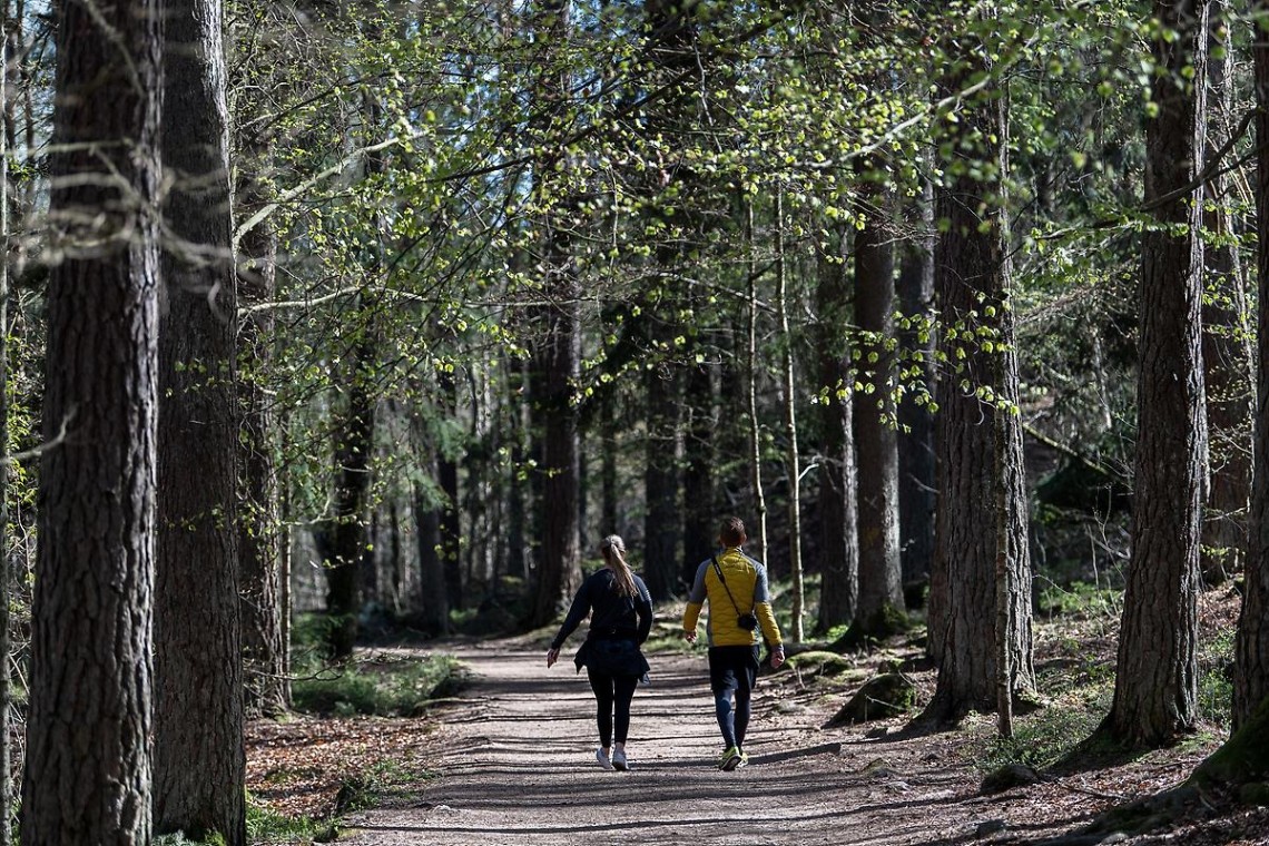 två personer som går i en skog